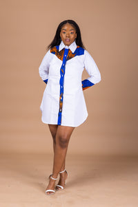 Didi Button Down Shirt Dress